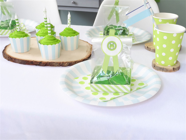 Frog Party Place Setting