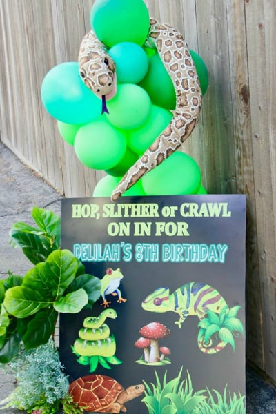 Bug and Reptile Themed Birthday Party