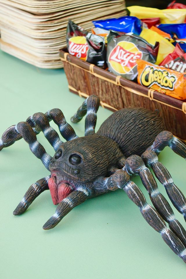 Bug and Reptile Party Sspider Decor