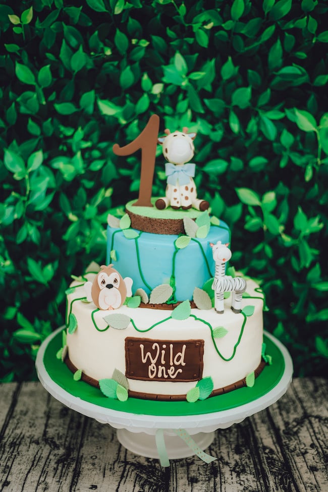 Wild One 1st Birthday cake