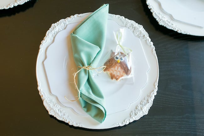 Baby Shower Place Setting