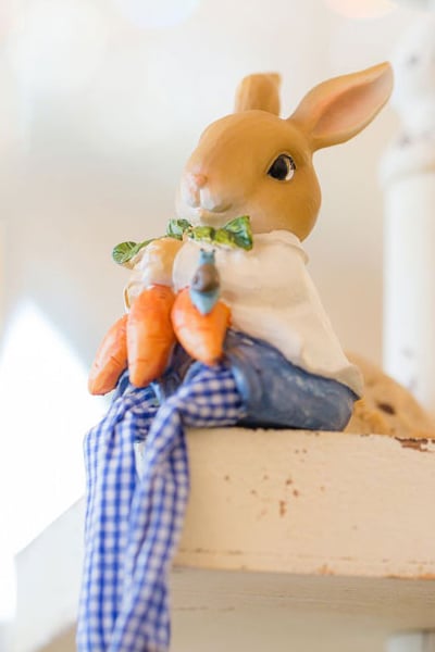 Peter Rabbit Inspired Baby Shower