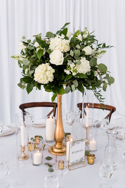 Elegant White Backyard Engagement