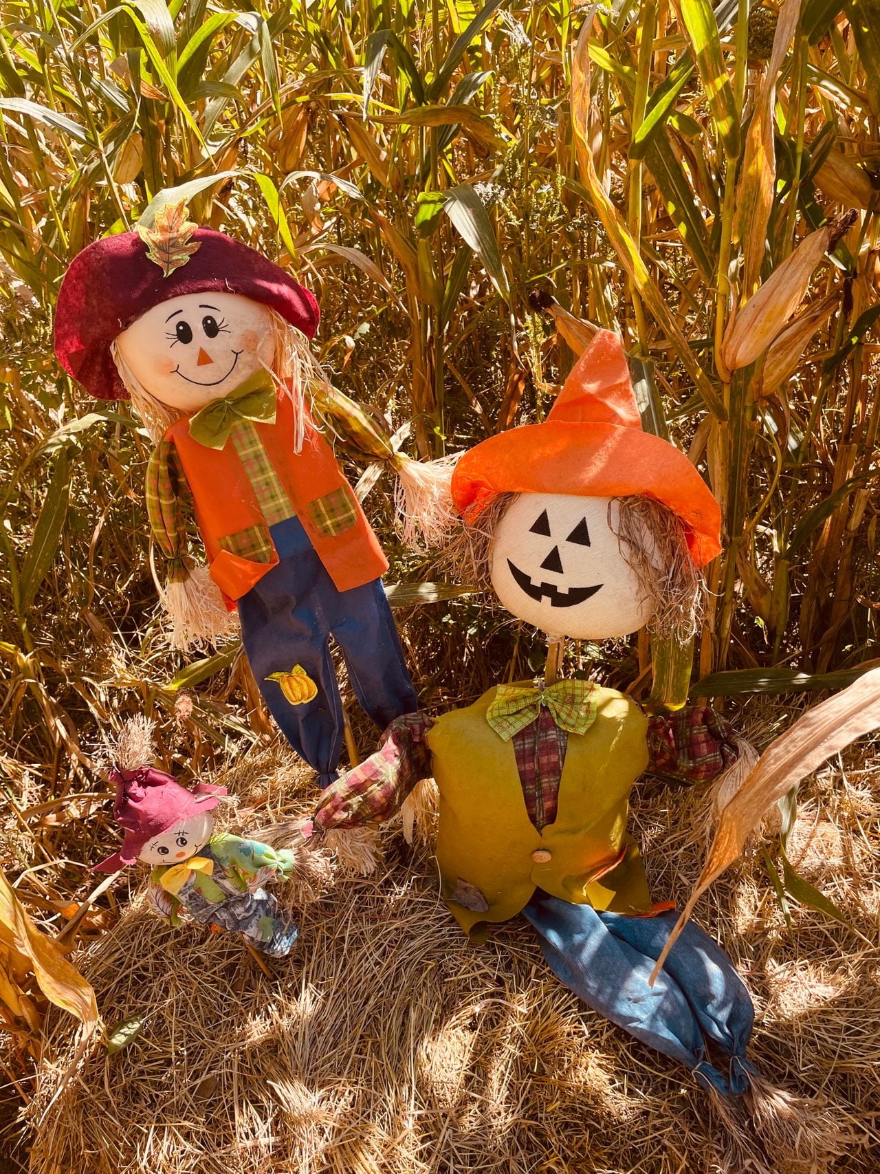 Scarecrow decorating content for a fall festival