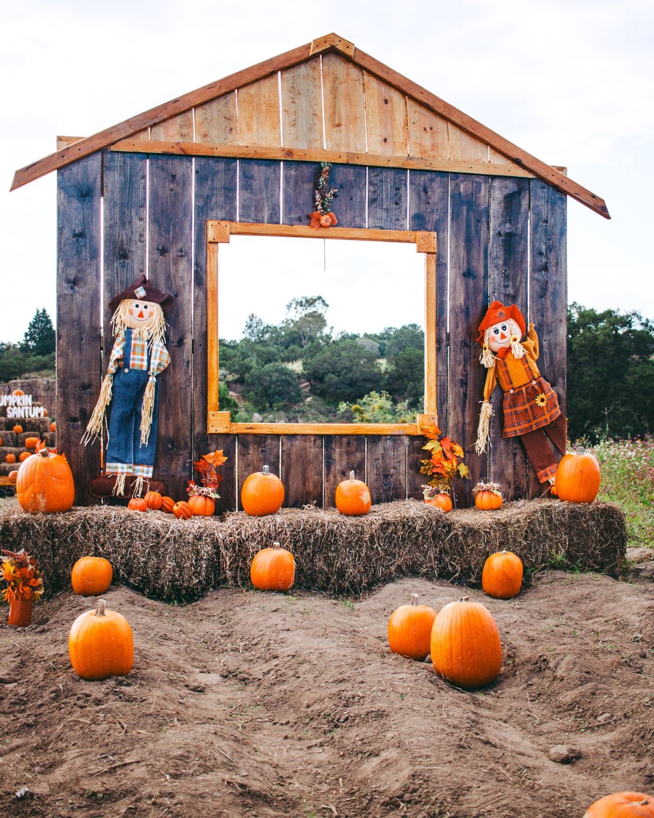 Fall Festival Ideas: Games and Activities for Kids, Schools, and Churches