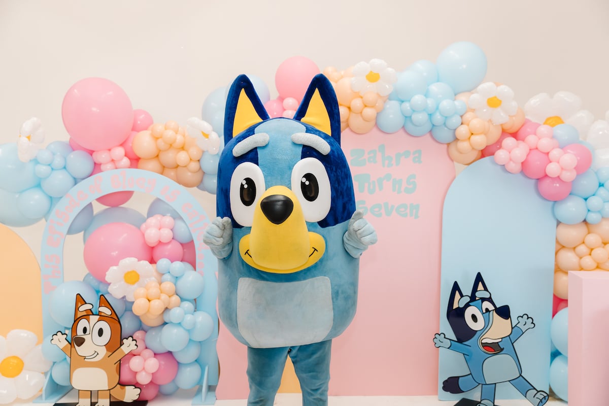 Bluey Cartoon House Birthday Party