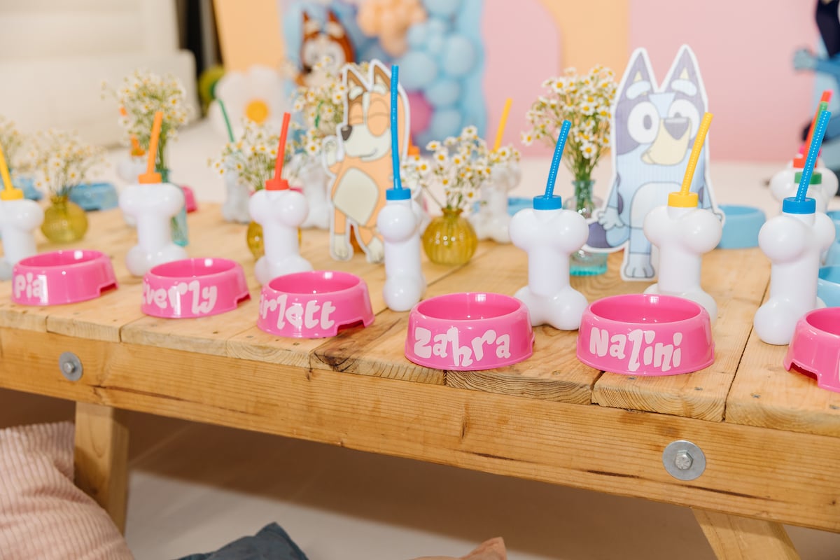 Kara's Party Ideas Bluey Themed Birthday Party