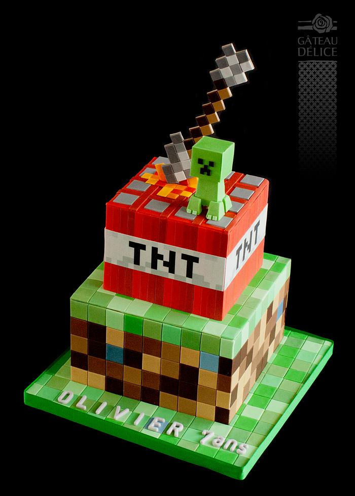 Epic Minecraft Cake Ideas on www.prettymyparty.com